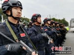 当阳：政法千警联勤勠力“两全”行动 - Hb.Chinanews.Com