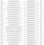 最高100万元！武汉57个物流项目拟获奖补 - 新浪湖北